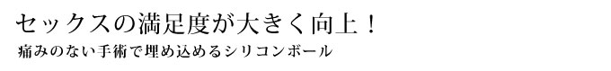 シリコンボール
