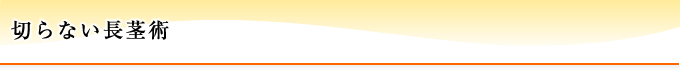 長茎術